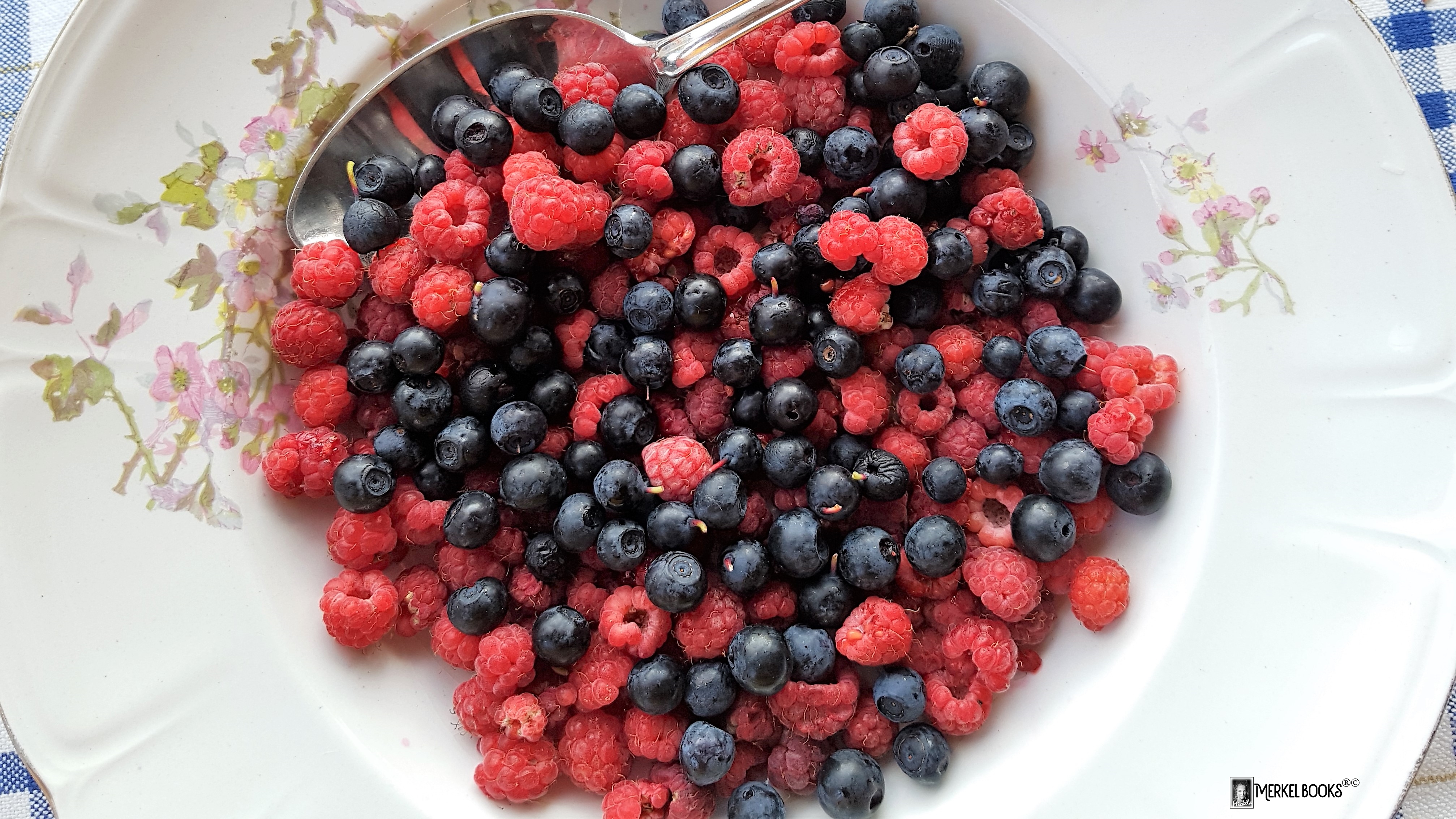 17 Raspblueberriesplate