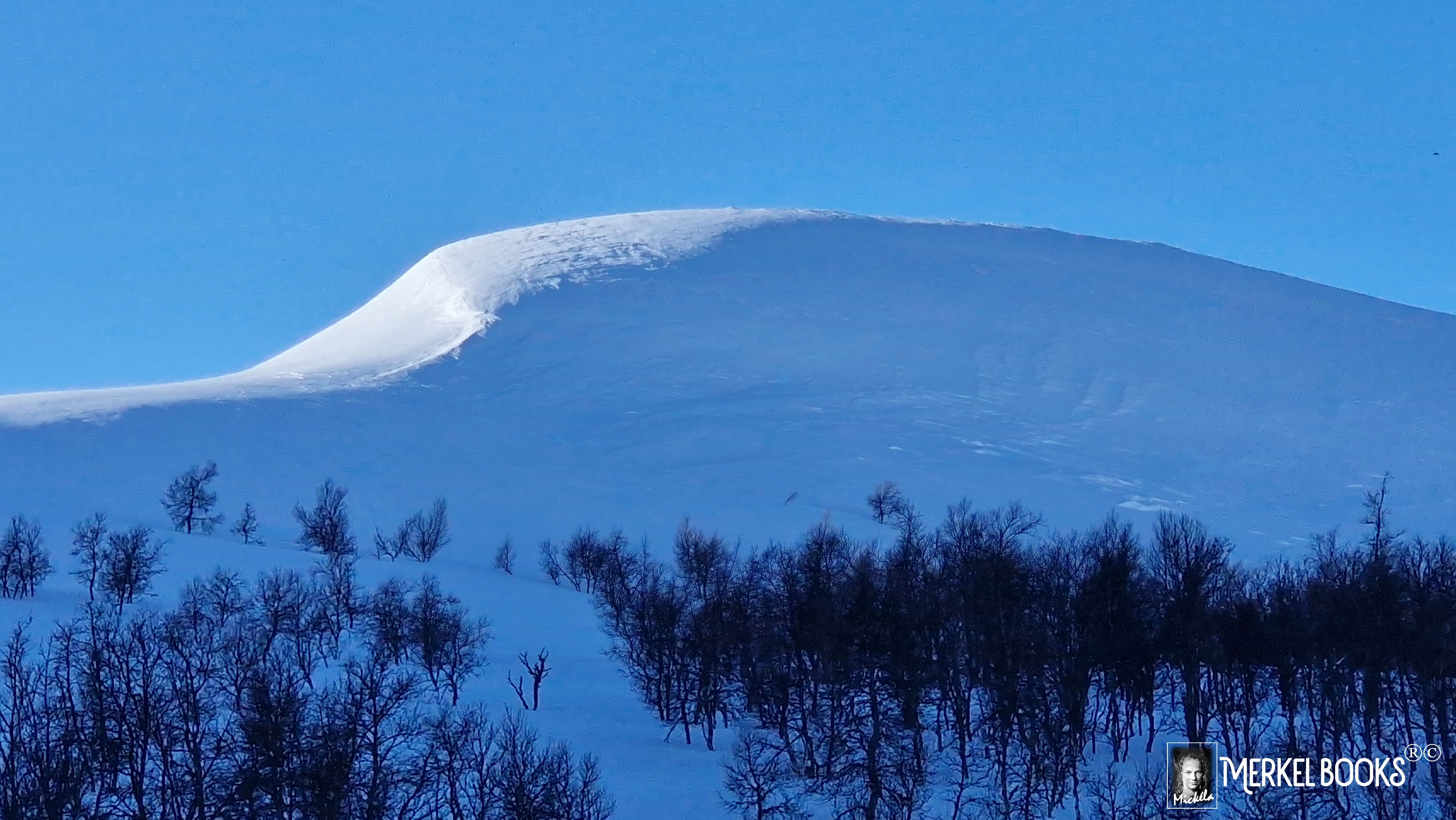 Bruksvallarna Härjedalen web
